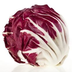 LECHUGA RADICCIO POR PIEZA...