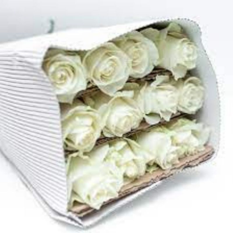 ROSAS BLANCAS PAQUETE 12 PZS