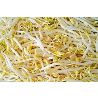 GERMEN DE SOYA