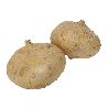 JICAMA