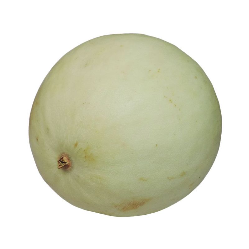 MELON VERDE/ VALENCIANO PIEZA DE  2.5 K APROX