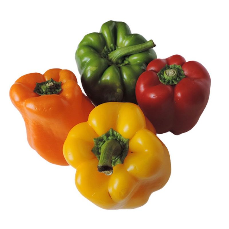 PIMIENTO COLORES