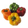 PIMIENTO COLORES