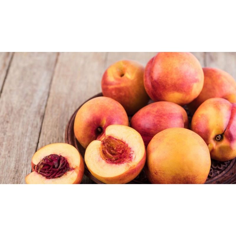 NECTARINA
