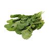LECHUGA ARUGULA POR KILO