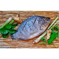 MOJARRA POR PIEZA DE 400 A...